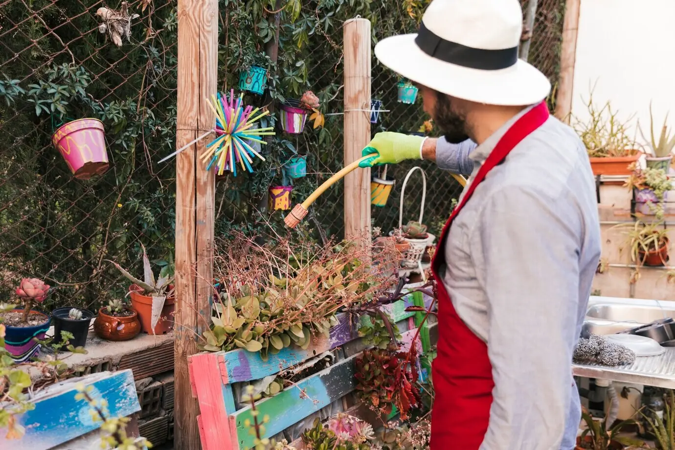Ein männlicher Gärtner mit Hut gießt im Garten die Pflanze mit einem Schlauch.